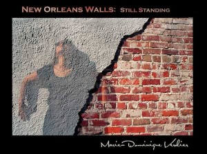 New Orleans Walls by Marie-Dominique Verdier book review.