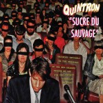 Quintron, Sucre du Sauvage (Goner Records)