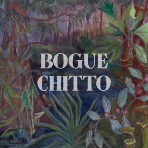 Bogue Chitto